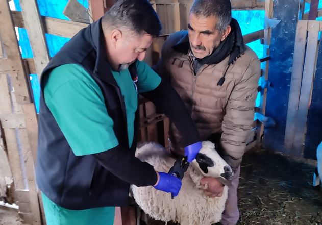 Söke’de Aşılama Çalışması Yapıldı