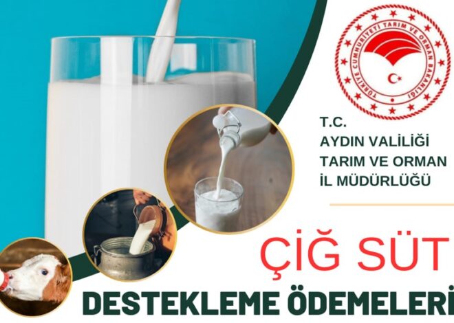 Aydın’da Çiğ Süt Desteklemeleri Ödeniyor