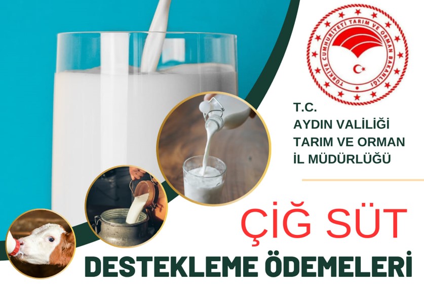 Aydın’da Çiğ Süt Desteklemeleri Ödeniyor