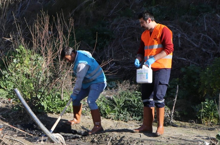 Söke Belediyesi Erken Dönem Larva Mücadelesine Başladı