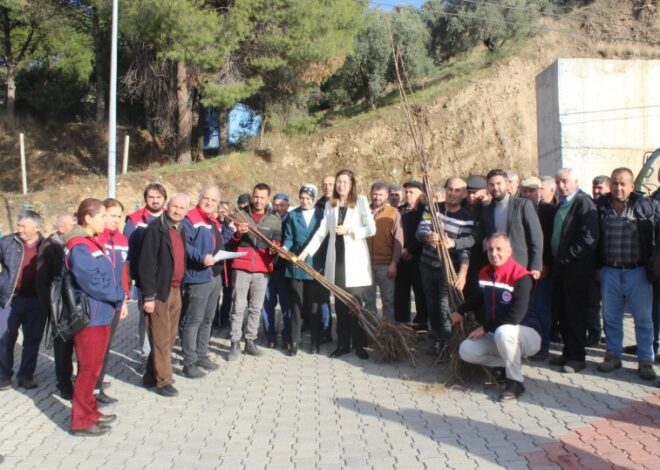 Aydın’da Tarımsal Üretime Tam Destek