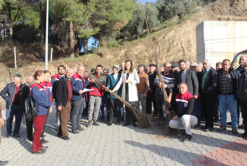 Aydın’da Tarımsal Üretime Tam Destek